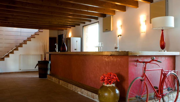 Visit Bodegas Angel with Wine Tasting - Photo 4