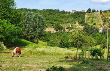 Agriturismo Il Burlino Apartments - Foto 18