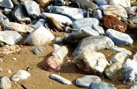 Traditional stone house 1bedroom, sea view, Syros - Foto 26