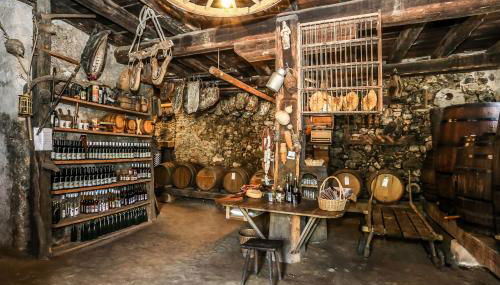 Martscholer Weinhof - Foto 5, Shopping Area