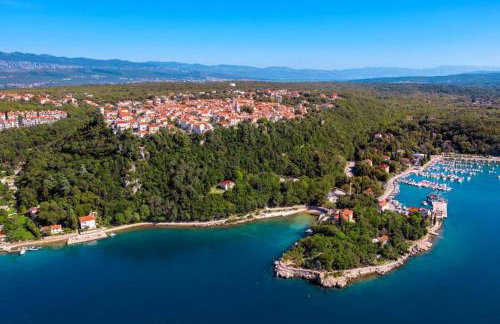 Villa Mirakul, new modern villa with swimming pool, close to the beach, children playroom, quiet area- by TRAVELER tourist agency Krk - ID 2680 - Foto 17