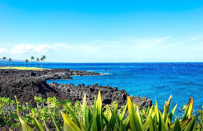 Halii Kai HLI-19G by KBM - Foto 19