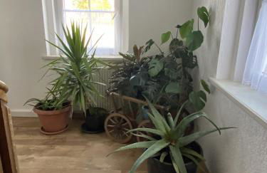 Ferienwohnung-Hainberg - Foto 40