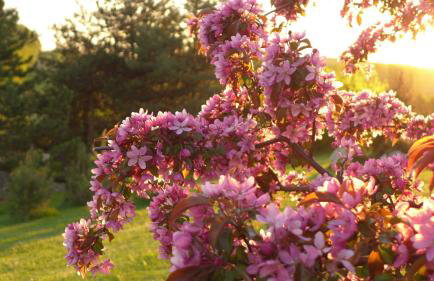 Apartament Podskalański - Foto 32