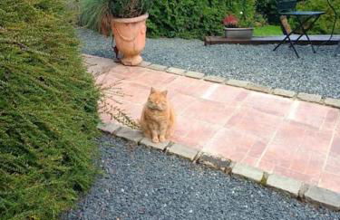 Micro maison ISBA Sedan - Foto 8