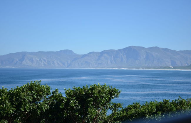 The Lookout at Whale Cove - Photo 22