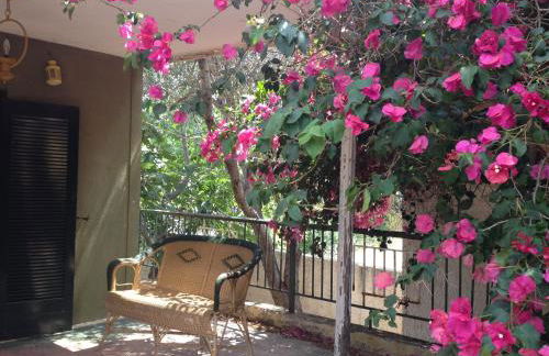 Kokos Traditional Family House - Foto 8