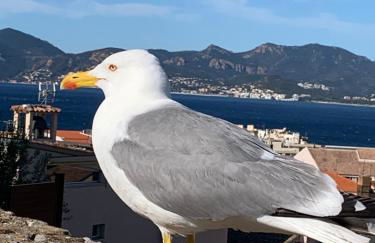 Cannes Apartment close to Congress Palace, Croisette, Beaches - Foto 47