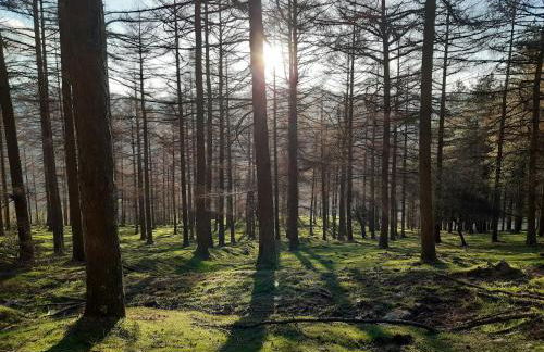 CASA RURAL AINGERU NATURALEZA Y MONTAÑA - Foto 19