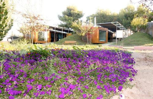 Centro de Agroecologia y Medio Ambiente de Murcia - Foto 33