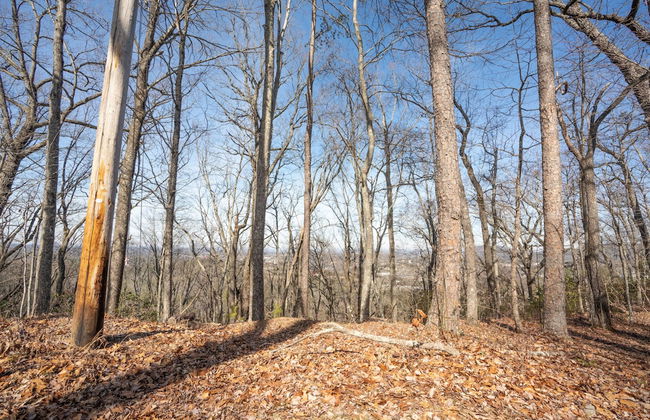 Comfort Cabin Bearway To Heaven - w Private Hot Tub - Foto 49