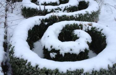 Villa anno 1924 im Dorf - Foto 24