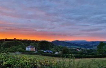 Odli Glamping - Aderyn - Photo 6