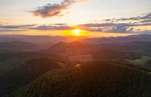 The Overlook at Valley Bear Farms - Foto 45