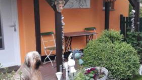 Bungalow Schinderling GM 69816 - Foto 3