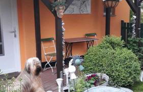 Bungalow Schinderling GM 69816 - Foto 3