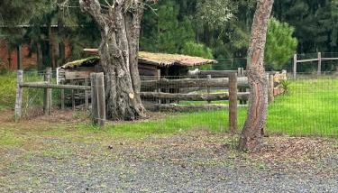 Casa Pinheiro - Foto 5