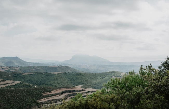 Vila Caelus Masia Boutique - Foto 20