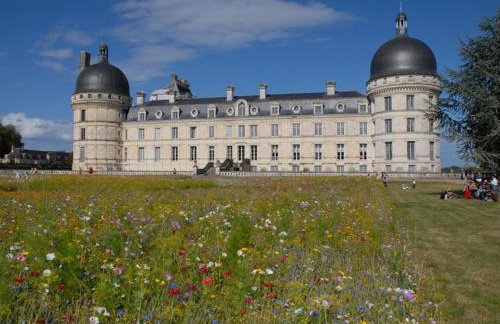 Gîte familial 12 pers. proche Valençay, ZooParc de Beauval et Châteaux de la Loire, parc arboré et jeux - FR-1-591-113 - Foto 11