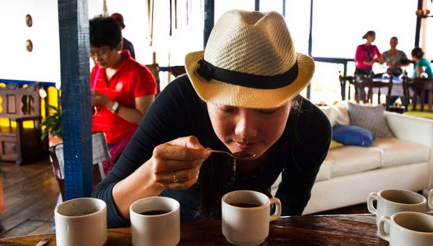 Dégustation de café colombien