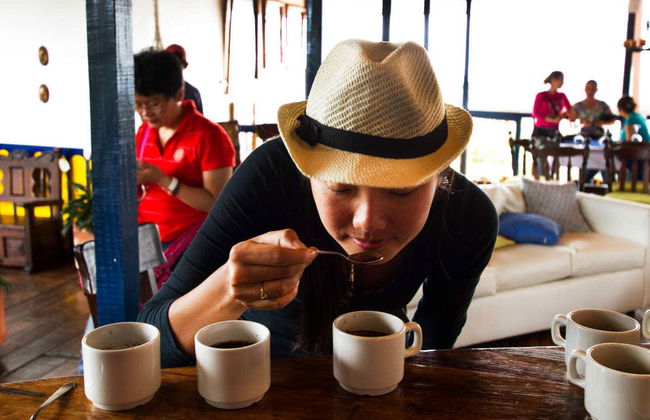 Armenia Coffee Farm Tour - Photo 5