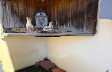 2 logements séparés 2 et 5 couchages au Rez-de-Chaussée à Chambretaud, 5 min Puy du Fou - Photo 56