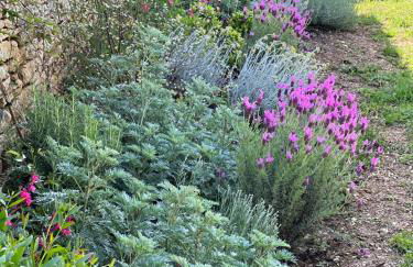 Les Maisons d'Antan 5 étoiles - Foto 36