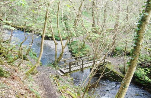 Caerhafod Llangrannog - Photo 11