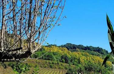 Casa da Vó Hospedagem Afetiva - Foto 22