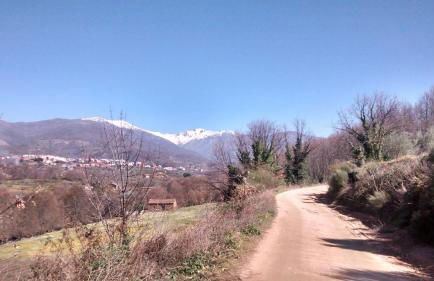 Casa Rural Colmenarejo - Foto 39