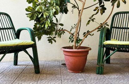 Il Cortile - Foto 23