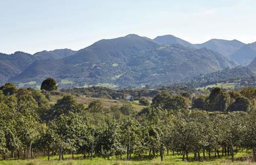 Mansion with Pool & Terrace - Foto 32