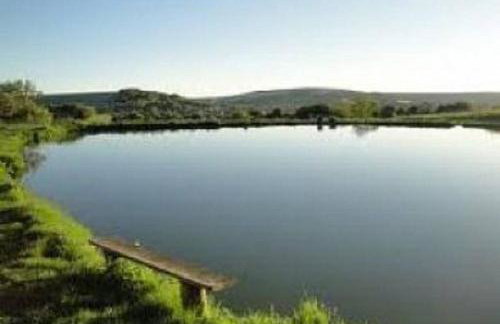 Fossil Cottage (Berryl Farm Cottages) - Foto 9