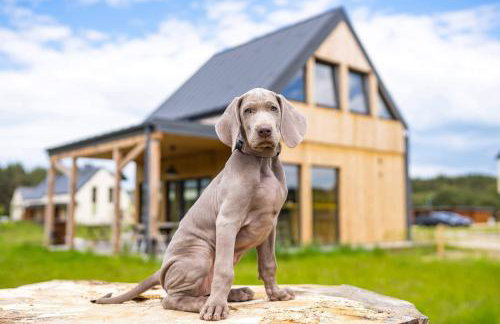 Moje Miejsce Jura - Foto 31