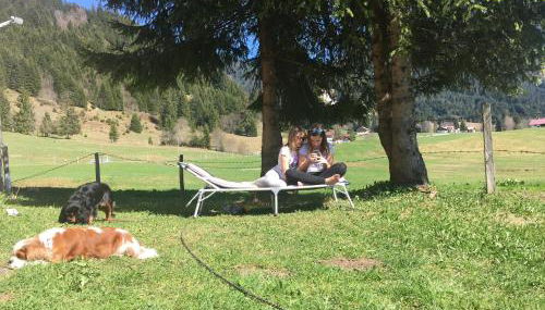 Ferienhof Wäldle - Wäldle 1 und Wäldle 2 mit Motorradvermietung - Photo 5