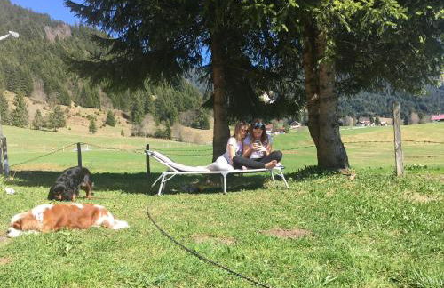 Ferienhof Wäldle - Wäldle 1 und Wäldle 2 mit Motorradvermietung - Photo 5