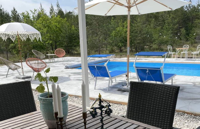 Villa Vitvikena in Gotland, Pool - Foto 14