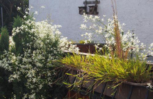 Ferienwohnung Seidenfaden - Foto 31