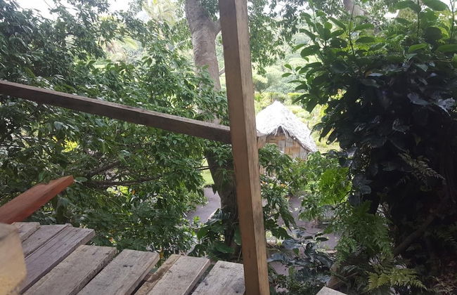 Castle Tree House - Photo 8