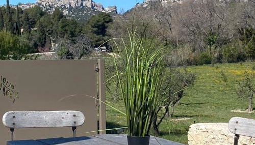 Domaine du Mas Foucray - Foto 4, Garden