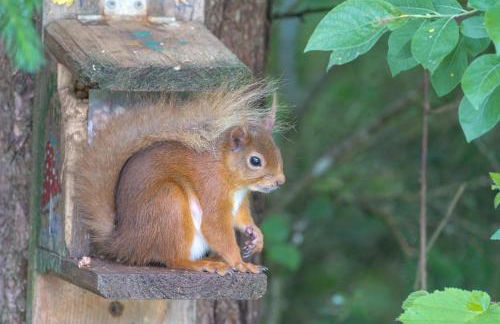 Lann Dearg Studios - Photo 13