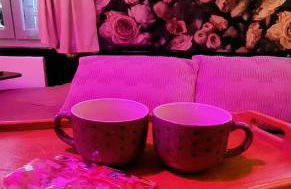 L'atelier des rêves, balnéo, lit rond, centre-ville - Foto 9