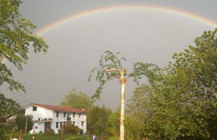 Balentziaga - Photo 29