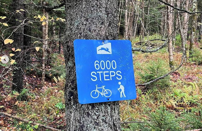 Leatherbark - Foto 23