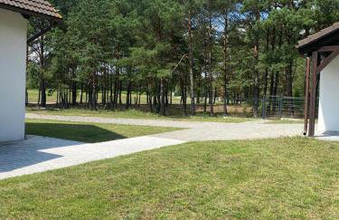 Lasy Jeziora, Cisza i Spokój, Grzybki i Rybki, Dom 180m2 w Swornegacie nad jeziorem Karsińskim - Foto 34