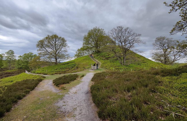 4 Person Holiday Home in Silkeborg-by Traum - Foto 11