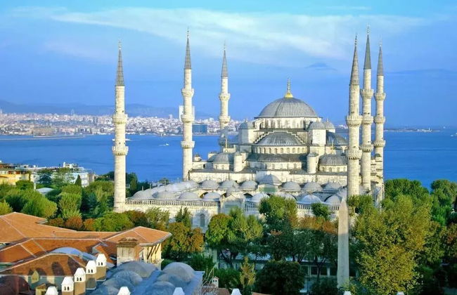 Social House - Foto 16