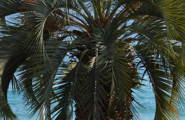 A Stone's Throw From the sea - Foto 23