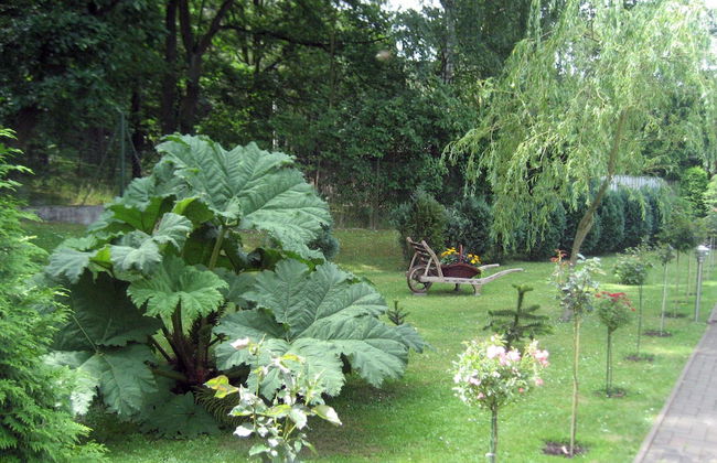 Haus Am Wald - Foto 17