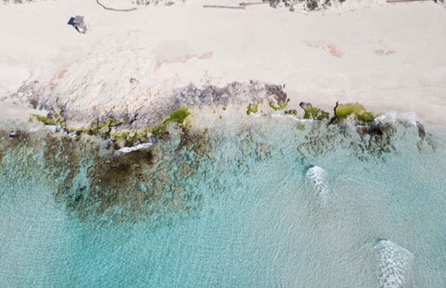 Sa Pedrera Suites & Spa - Foto 38